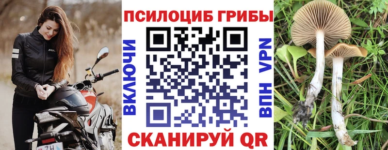 Псилоцибиновые грибы MAGIC MUSHROOMS  Певек 